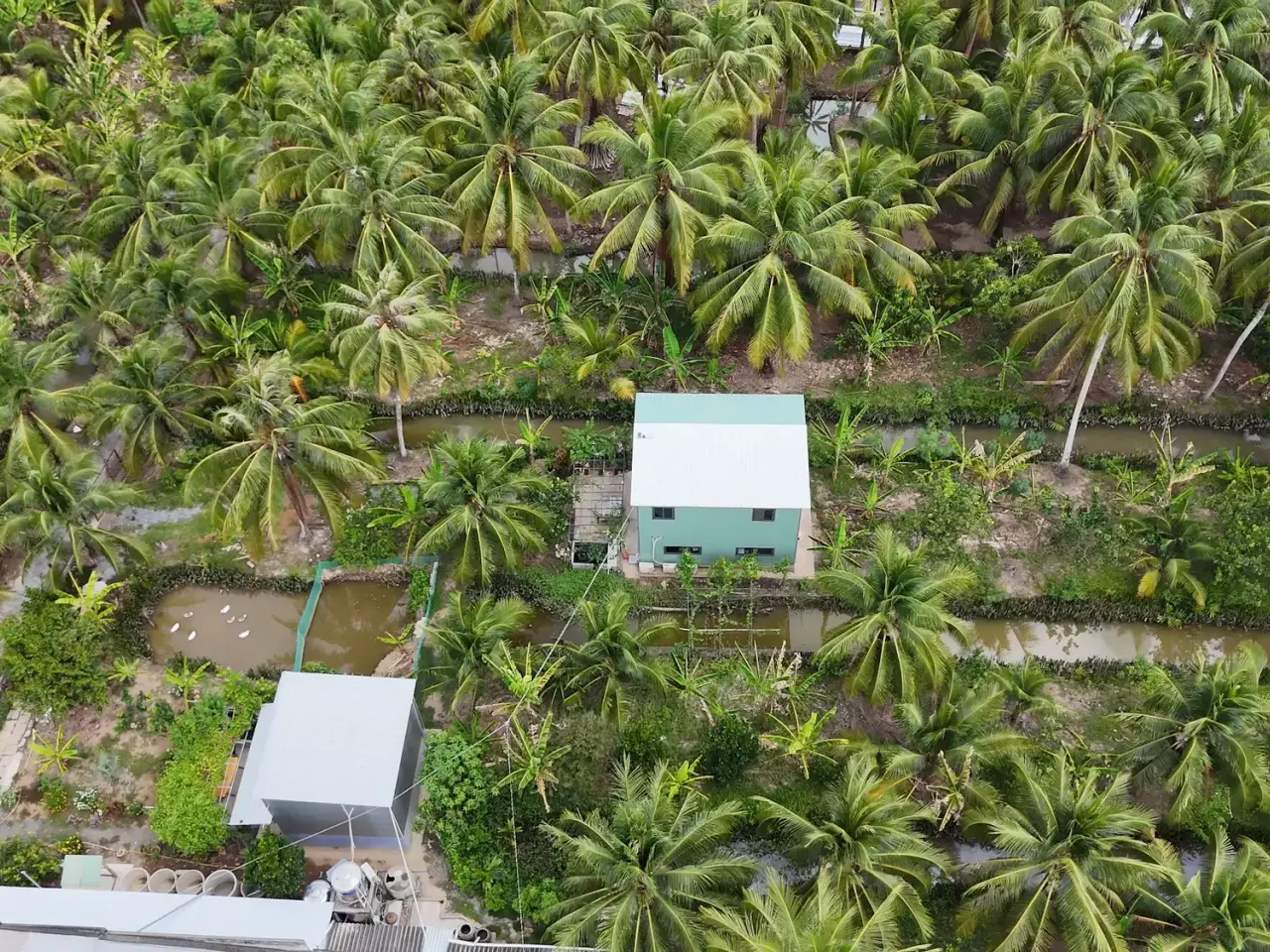 Coco Happy Farm among coconut gardens in Luong Hoa